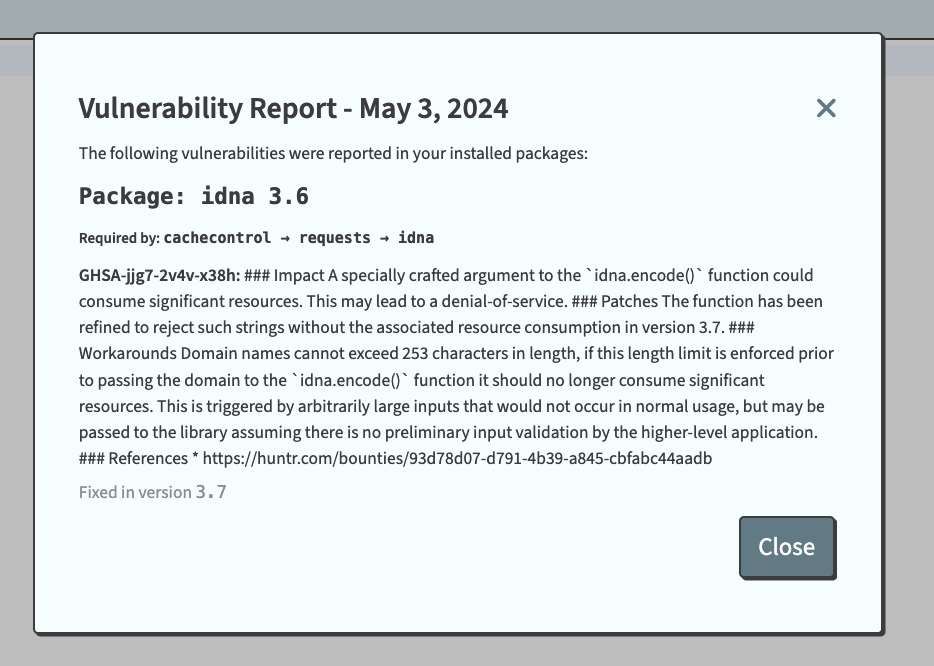 A vunerability report for a built Python environment